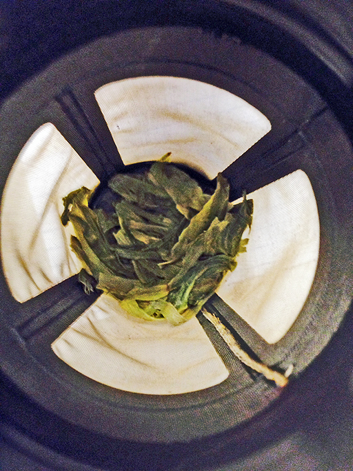 <a rel="license" href="http://creativecommons.org/licenses/by-sa/4.0/"><img alt="Creative Commons License" style="border-width:0" src="https://i.creativecommons.org/l/by-sa/4.0/88x31.png" /></a><br /><span xmlns:dct="http://purl.org/dc/terms/" href="http://purl.org/dc/dcmitype/StillImage" property="dct:title" rel="dct:type">Tai Ping Hou Kui ~ TeaVana ~ strainer</span> by <a xmlns:cc="http://creativecommons.org/ns#" href="http://parting.gifts" property="cc:attributionName" rel="cc:attributionURL">Jocilyn Mors</a> is licensed under a <a rel="license" href="http://creativecommons.org/licenses/by-sa/4.0/">Creative Commons Attribution-ShareAlike 4.0 International License</a>.