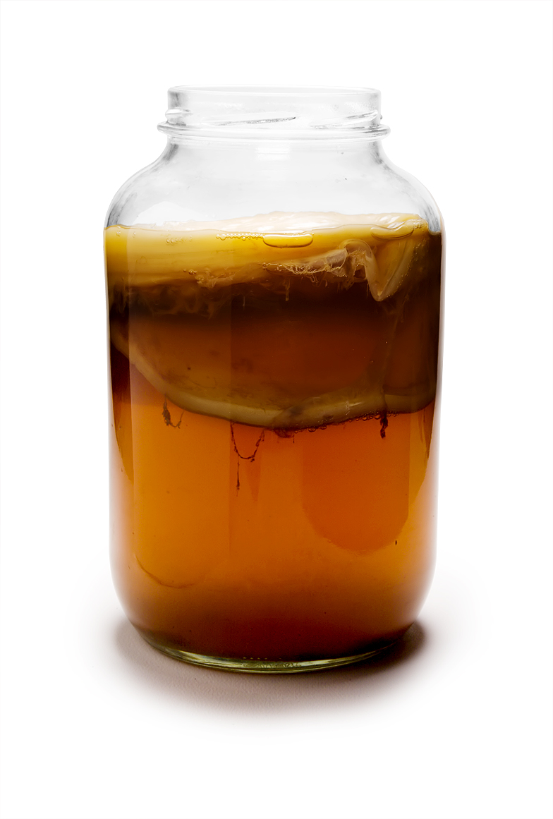 Mature kombucha. YUM! Image reused from Wikipedia.