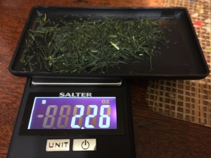 Salter Demo by Jocilyn Mors is licensed under a Creative Commons Attribution 4.0 International License.