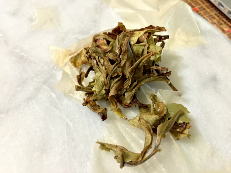 Kenyan Safari Spent by Jocilyn Mors is licensed under a Creative Commons Attribution 4.0 International License.