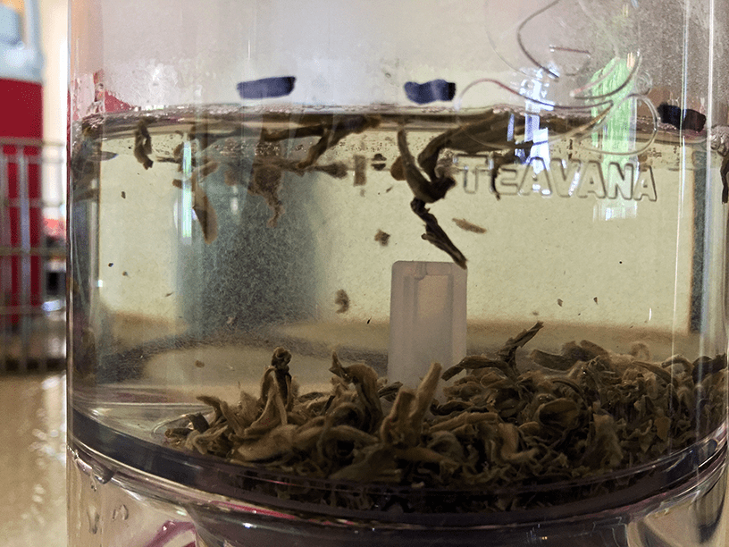 100 Monkeys Steeping by Jocilyn Mors is licensed under a Creative Commons Attribution 4.0 International License.