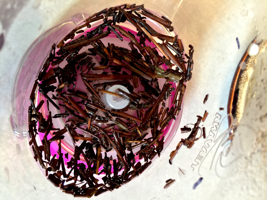 Kuki-cha Twig Tea Spent by Jocilyn Mors is licensed under a Creative Commons Attribution 4.0 International License.