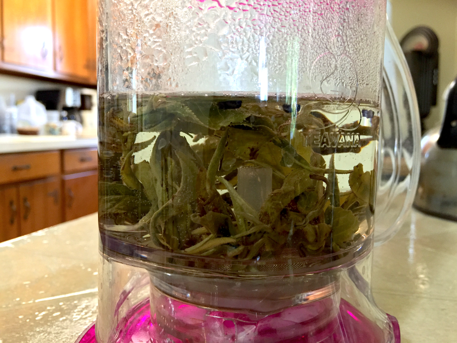 Pan Long Yin Hao Steeping by Jocilyn Mors is licensed under a Creative Commons Attribution 4.0 International License.