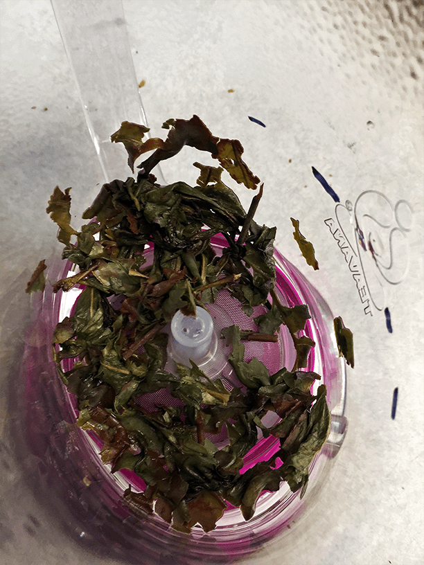 Zhang Ping Shui Hsian Spent by Jocilyn Mors is licensed under a Creative Commons Attribution 4.0 International License.