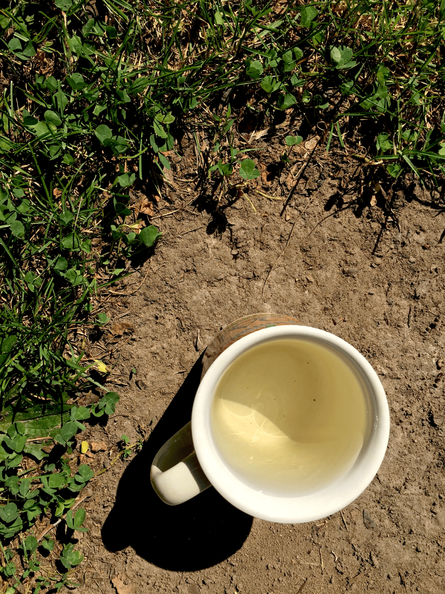 Huo Shan Huang Ya (Upton): liquor by Jocilyn Mors is licensed under a Creative Commons Attribution-ShareAlike 4.0 International License.