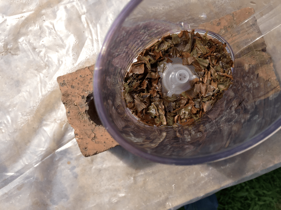 Margaret's Hope FTGFOP Tippy Spent by Jocilyn Mors is licensed under a Creative Commons Attribution-ShareAlike 4.0 International License.