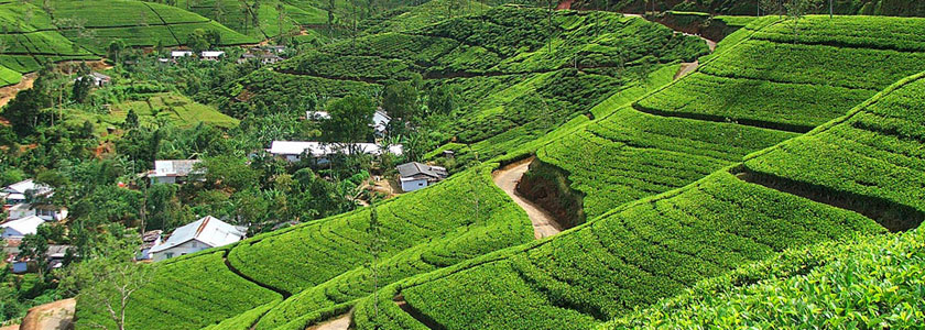 Image reproduced without permission. Image rights and rights holder unknown.