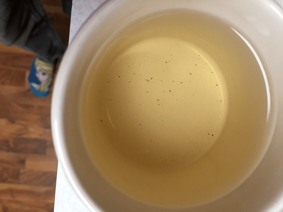 Oriental Beauty (Goldfish): liquor by Jocilyn Mors is licensed under a Creative Commons Attribution-ShareAlike 4.0 International License.