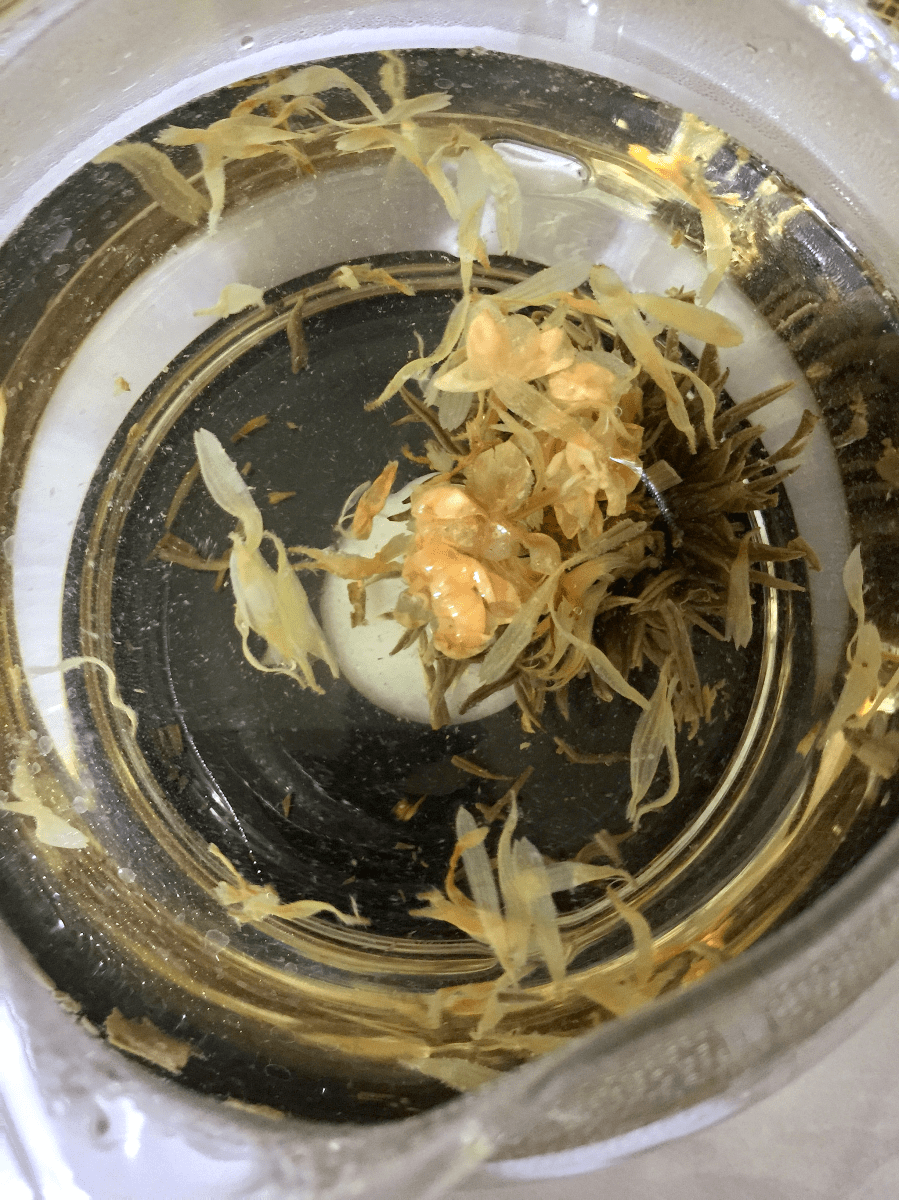 Oriental Beauty (Goldfish): on Display by Jocilyn Mors is licensed under a Creative Commons Attribution-ShareAlike 4.0 International License.