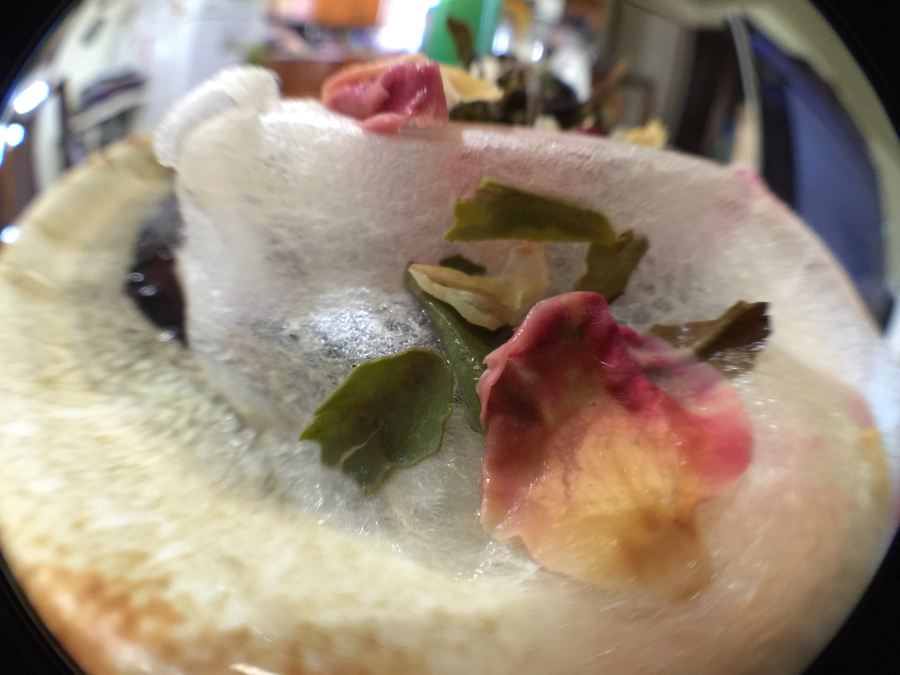 <a rel="license" href="http://creativecommons.org/licenses/by-sa/4.0/"><img alt="Creative Commons License" style="border-width:0" src="https://i.creativecommons.org/l/by-sa/4.0/88x31.png" /></a><br /><span xmlns:dct="http://purl.org/dc/terms/" href="http://purl.org/dc/dcmitype/StillImage" property="dct:title" rel="dct:type">Peach White (Eli): spent Macro</span> by <a xmlns:cc="http://creativecommons.org/ns#" href="http://parting.gifts" property="cc:attributionName" rel="cc:attributionURL">Jocilyn Mors</a> is licensed under a <a rel="license" href="http://creativecommons.org/licenses/by-sa/4.0/">Creative Commons Attribution-ShareAlike 4.0 International License</a>.