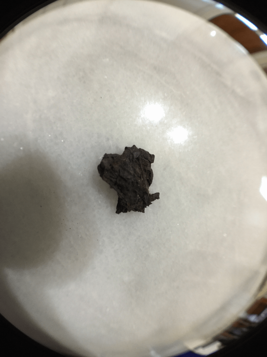 Shai Qing 2003 (Goldfish): beeng cake by Jocilyn Mors is licensed under a Creative Commons Attribution-ShareAlike 4.0 International License.