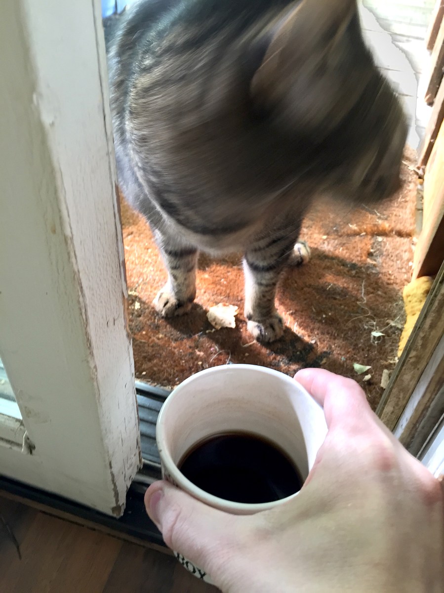 <a rel="license" href="http://creativecommons.org/licenses/by-sa/4.0/"><img alt="Creative Commons License" style="border-width:0" src="https://i.creativecommons.org/l/by-sa/4.0/88x31.png" /></a><br /><span xmlns:dct="http://purl.org/dc/terms/" href="http://purl.org/dc/dcmitype/StillImage" property="dct:title" rel="dct:type">Shai Qing 2003 (Goldfish): Thomas</span> by <a xmlns:cc="http://creativecommons.org/ns#" href="http://parting.gifts" property="cc:attributionName" rel="cc:attributionURL">Jocilyn Mors</a> is licensed under a <a rel="license" href="http://creativecommons.org/licenses/by-sa/4.0/">Creative Commons Attribution-ShareAlike 4.0 International License</a>.