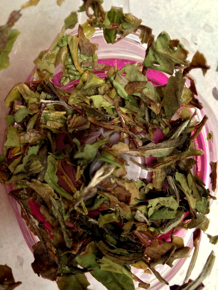 White Peony (Eli): spent by Jocilyn Mors is licensed under a Creative Commons Attribution-ShareAlike 4.0 International License.