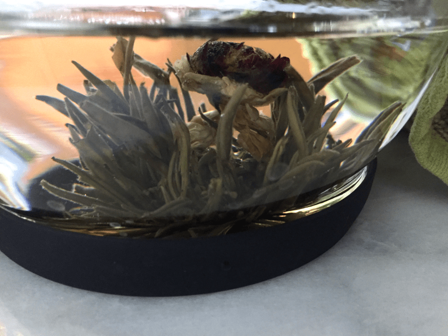 Wild Lover (Goldfish): on DisplayC by Jocilyn Mors is licensed under a Creative Commons Attribution-ShareAlike 4.0 International License.