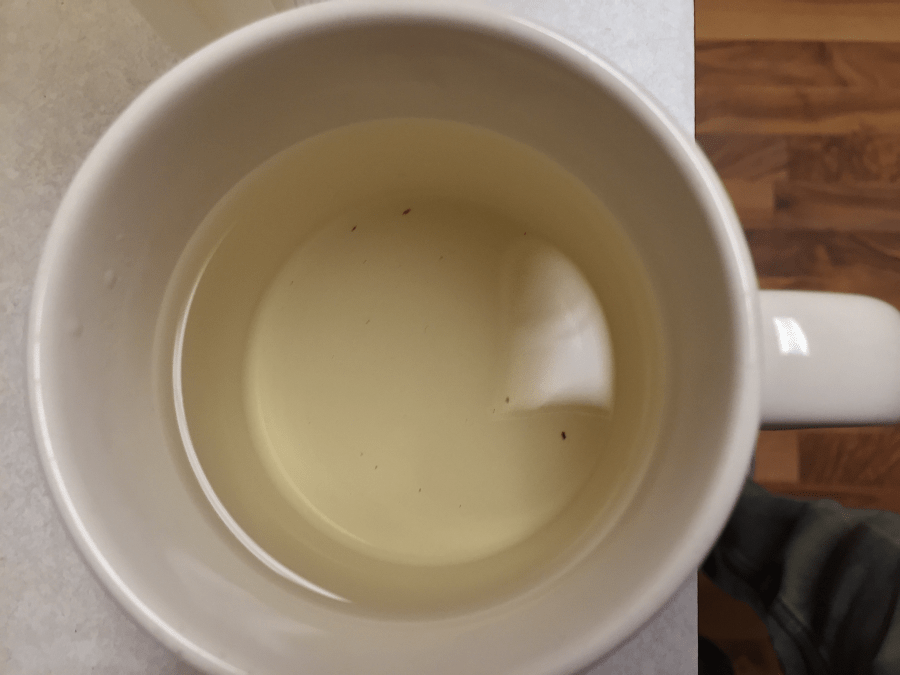 Wild Lover (Goldfish): liquor by Jocilyn Mors is licensed under a Creative Commons Attribution-ShareAlike 4.0 International License.