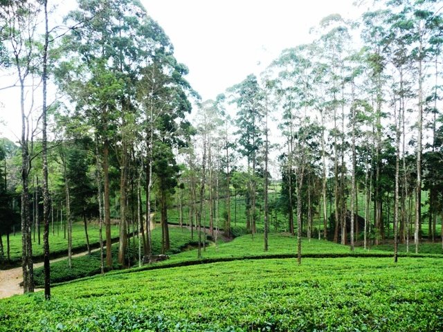 Image reproduced without permission. Copyright © 2015 Traveljournals.net. All rights reserved.