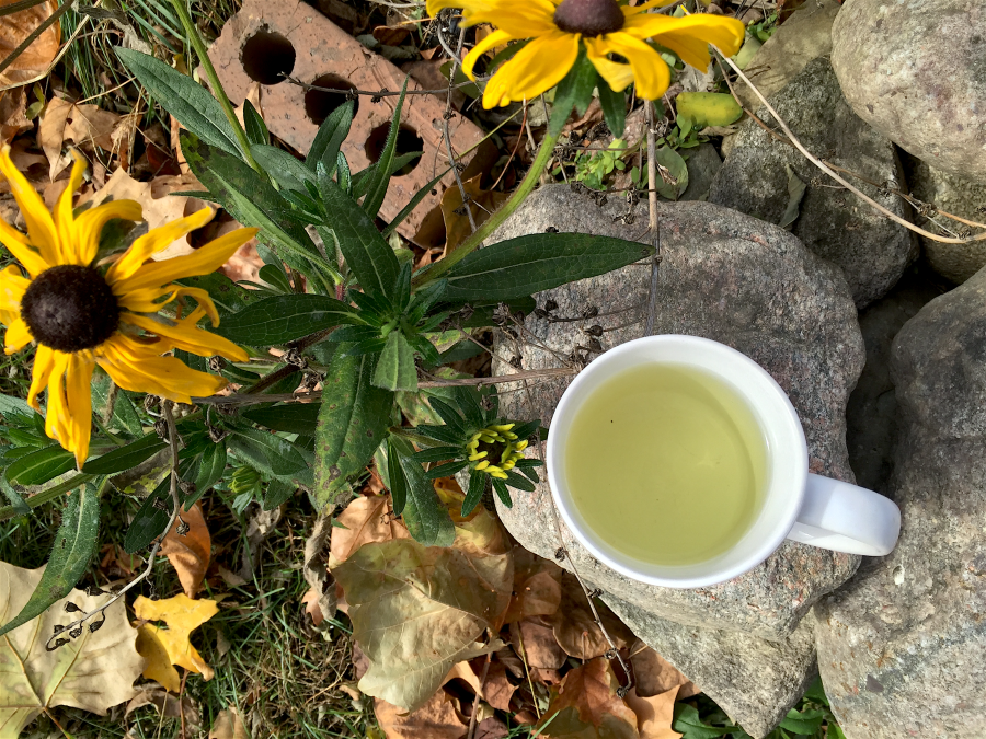 <a rel="license" href="http://creativecommons.org/licenses/by-sa/4.0/"><img alt="Creative Commons License" style="border-width:0" src="https://i.creativecommons.org/l/by-sa/4.0/88x31.png" /></a><br /><span xmlns:dct="http://purl.org/dc/terms/" href="http://purl.org/dc/dcmitype/StillImage" property="dct:title" rel="dct:type">Bancha (Arbor Teas) ~ liquor2</span> by <a xmlns:cc="http://creativecommons.org/ns#" href="http://parting.gifts" property="cc:attributionName" rel="cc:attributionURL">Jocilyn Mors</a> is licensed under a <a rel="license" href="http://creativecommons.org/licenses/by-sa/4.0/">Creative Commons Attribution-ShareAlike 4.0 International License</a>.