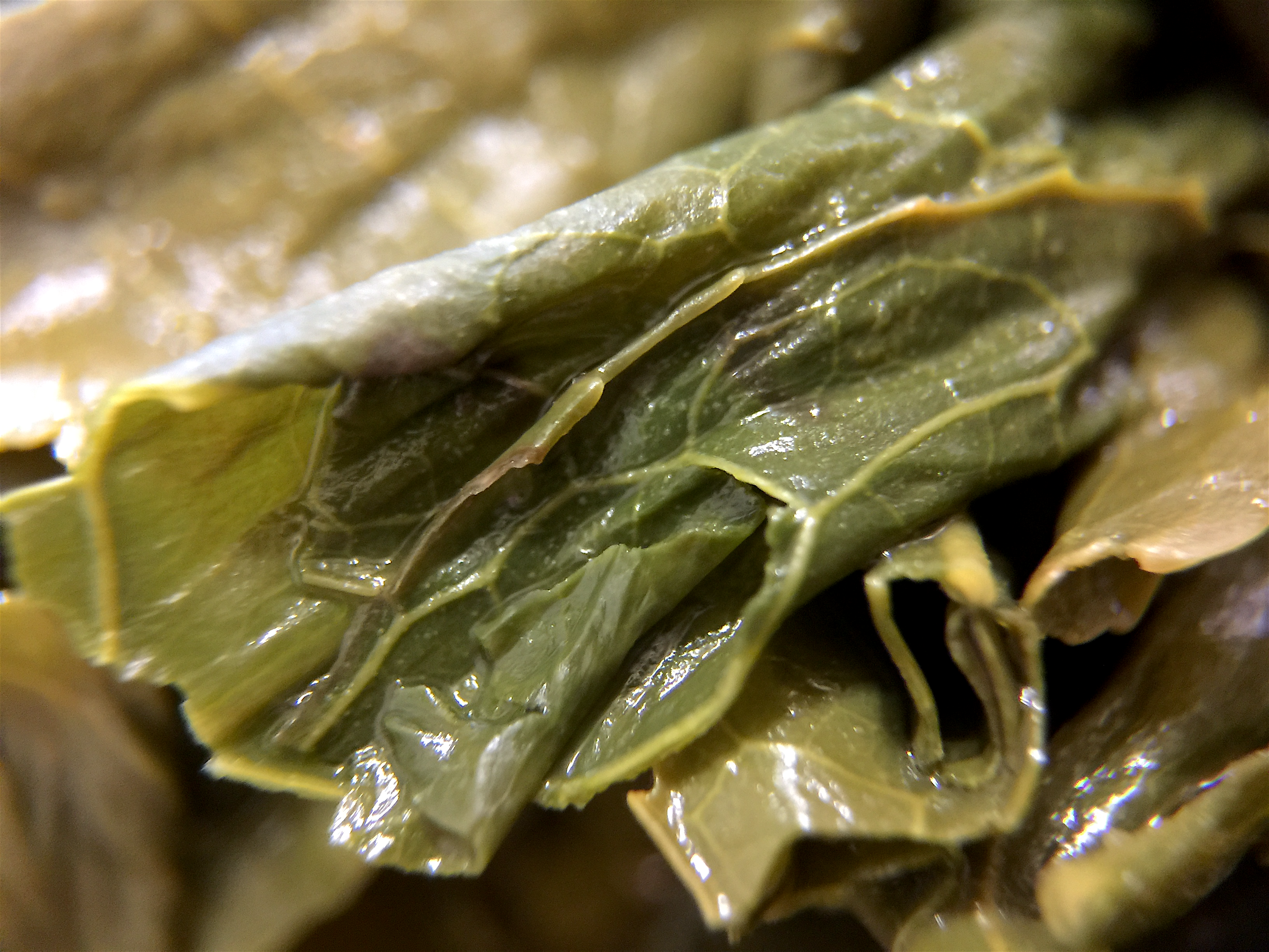 Bancha (Arbor Teas) ~ spent by Jocilyn Mors is licensed under a Creative Commons Attribution-ShareAlike 4.0 International License.