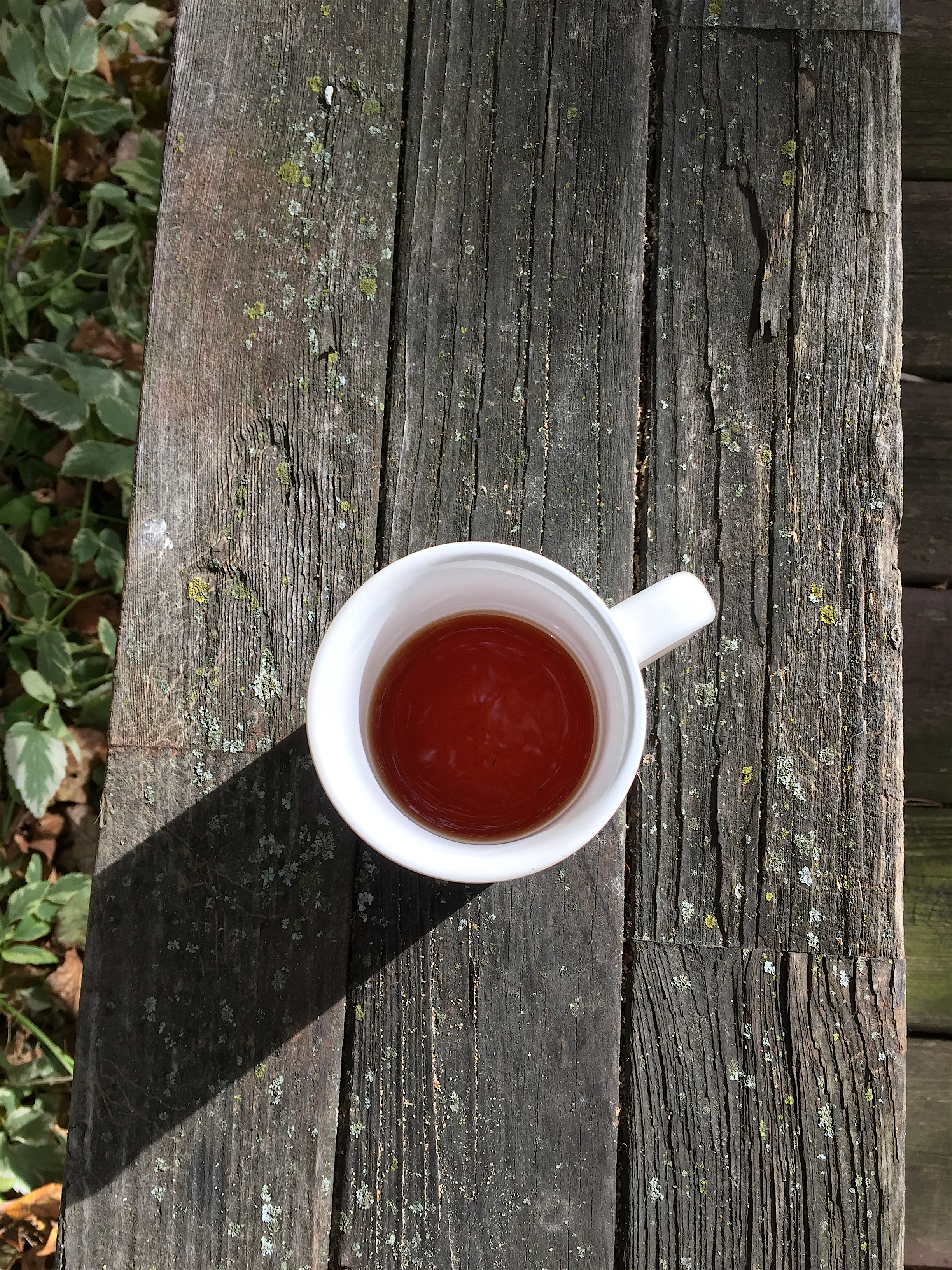 Ceylon FOP Ratnapura (TeaHaus) ~ liquor by Jocilyn Mors is licensed under a Creative Commons Attribution-ShareAlike 4.0 International License.