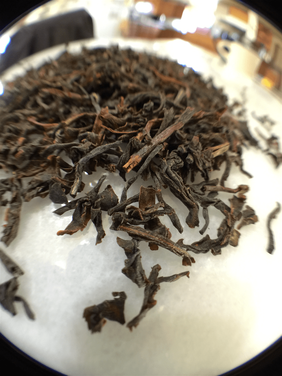 Ceylon Lover's Leap Estate (S&V) ~ loose leaf Macro by Jocilyn Mors is licensed under a Creative Commons Attribution-ShareAlike 4.0 International License.