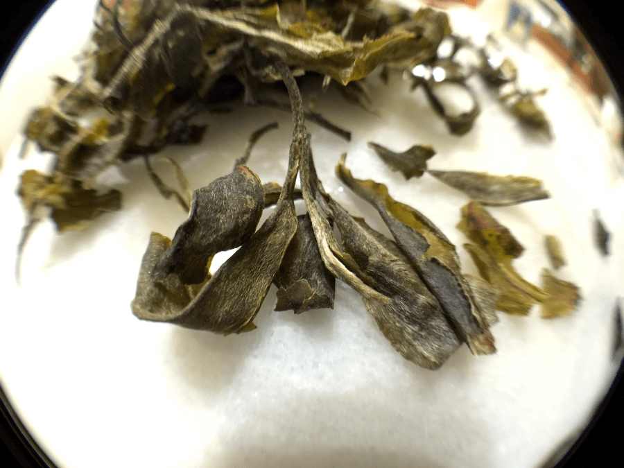 Emerald Green Tea Organic 1st Flush (Simpson & Vail) - loose leaf Macro by Jocilyn Mors is licensed under a Creative Commons Attribution-ShareAlike 4.0 International License.