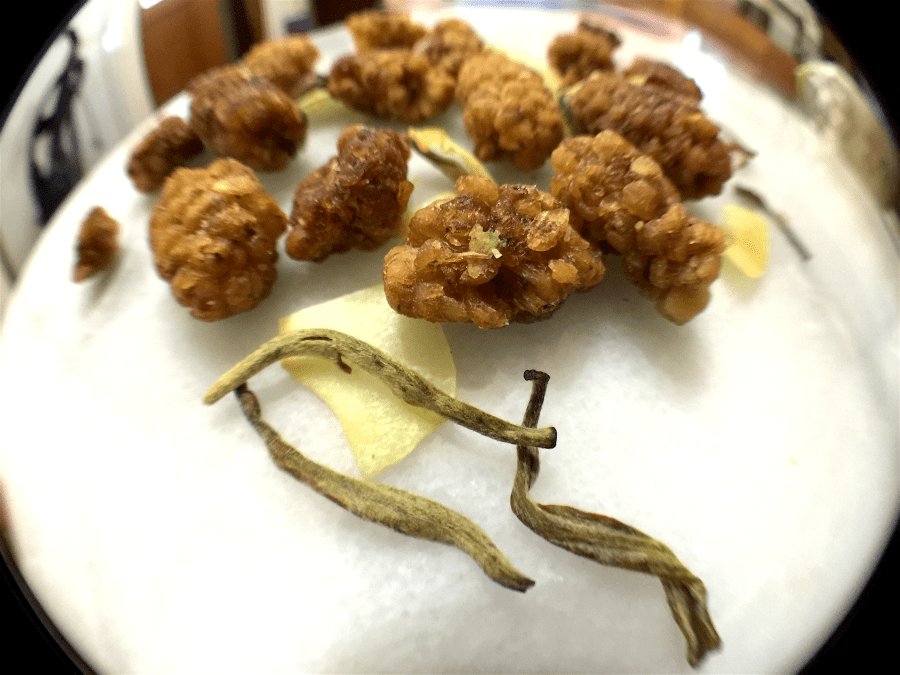 <a rel="license" href="http://creativecommons.org/licenses/by-sa/4.0/"><img alt="Creative Commons License" style="border-width:0" src="https://i.creativecommons.org/l/by-sa/4.0/88x31.png" /></a><br /><span xmlns:dct="http://purl.org/dc/terms/" href="http://purl.org/dc/dcmitype/StillImage" property="dct:title" rel="dct:type">Gold Rush (DavidsTea) ~ loose leaf Macro</span> by <a xmlns:cc="http://creativecommons.org/ns#" href="http://parting.gifts" property="cc:attributionName" rel="cc:attributionURL">Jocilyn Mors</a> is licensed under a <a rel="license" href="http://creativecommons.org/licenses/by-sa/4.0/">Creative Commons Attribution-ShareAlike 4.0 International License</a>.