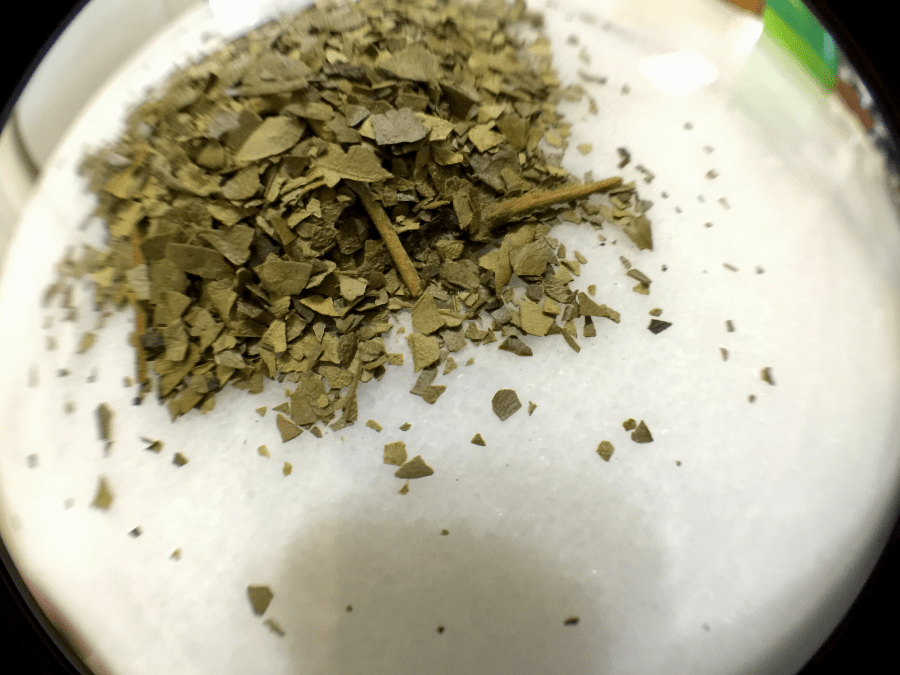 Hawaii Sweet Roast (Arbor) ~ loose leaf Macro by Jocilyn Mors is licensed under a Creative Commons Attribution-ShareAlike 4.0 International License.