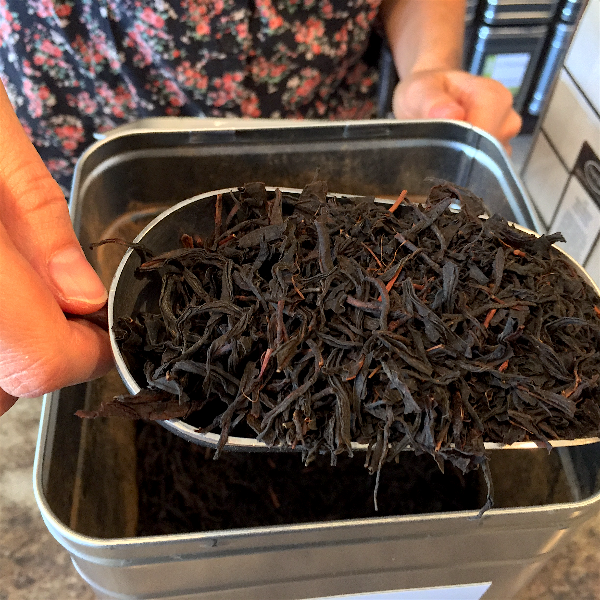 Hong Cha Java (TeaHaus) ~ LL by Jocilyn Mors is licensed under a Creative Commons Attribution-ShareAlike 4.0 International License.