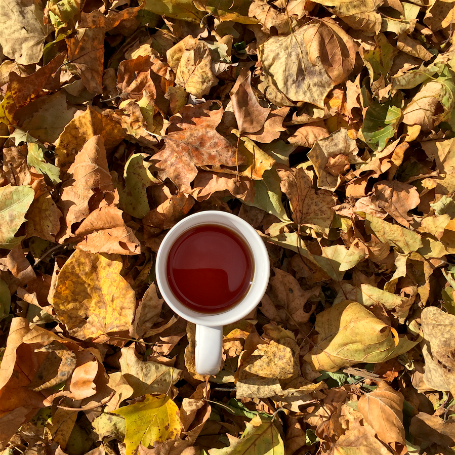 <a rel="license" href="http://creativecommons.org/licenses/by-sa/4.0/"><img alt="Creative Commons License" style="border-width:0" src="https://i.creativecommons.org/l/by-sa/4.0/88x31.png" /></a><br /><span xmlns:dct="http://purl.org/dc/terms/" href="http://purl.org/dc/dcmitype/StillImage" property="dct:title" rel="dct:type">Loolecondera Estate Ceylon Pekoe (Upton) ~ liquor</span> by <a xmlns:cc="http://creativecommons.org/ns#" href="http://parting.gifts" property="cc:attributionName" rel="cc:attributionURL">Jocilyn Mors</a> is licensed under a <a rel="license" href="http://creativecommons.org/licenses/by-sa/4.0/">Creative Commons Attribution-ShareAlike 4.0 International License</a>.