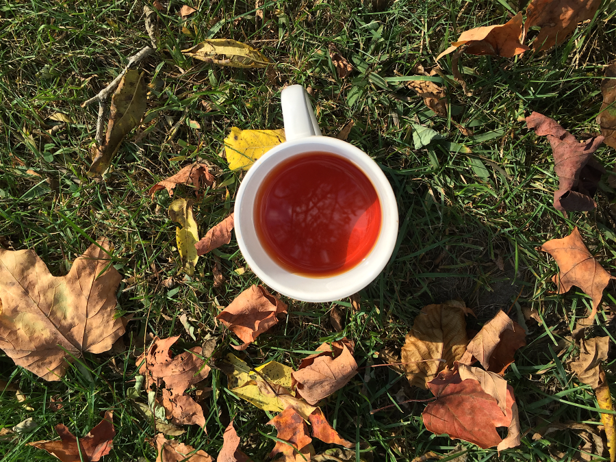 <a rel="license" href="http://creativecommons.org/licenses/by-sa/4.0/"><img alt="Creative Commons License" style="border-width:0" src="https://i.creativecommons.org/l/by-sa/4.0/88x31.png" /></a><br /><span xmlns:dct="http://purl.org/dc/terms/" href="http://purl.org/dc/dcmitype/StillImage" property="dct:title" rel="dct:type">Organic Nilgiri Korakundah OP (BTP) ~ liquor</span> by <a xmlns:cc="http://creativecommons.org/ns#" href="http://parting.gifts" property="cc:attributionName" rel="cc:attributionURL">Jocilyn Mors</a> is licensed under a <a rel="license" href="http://creativecommons.org/licenses/by-sa/4.0/">Creative Commons Attribution-ShareAlike 4.0 International License</a>.