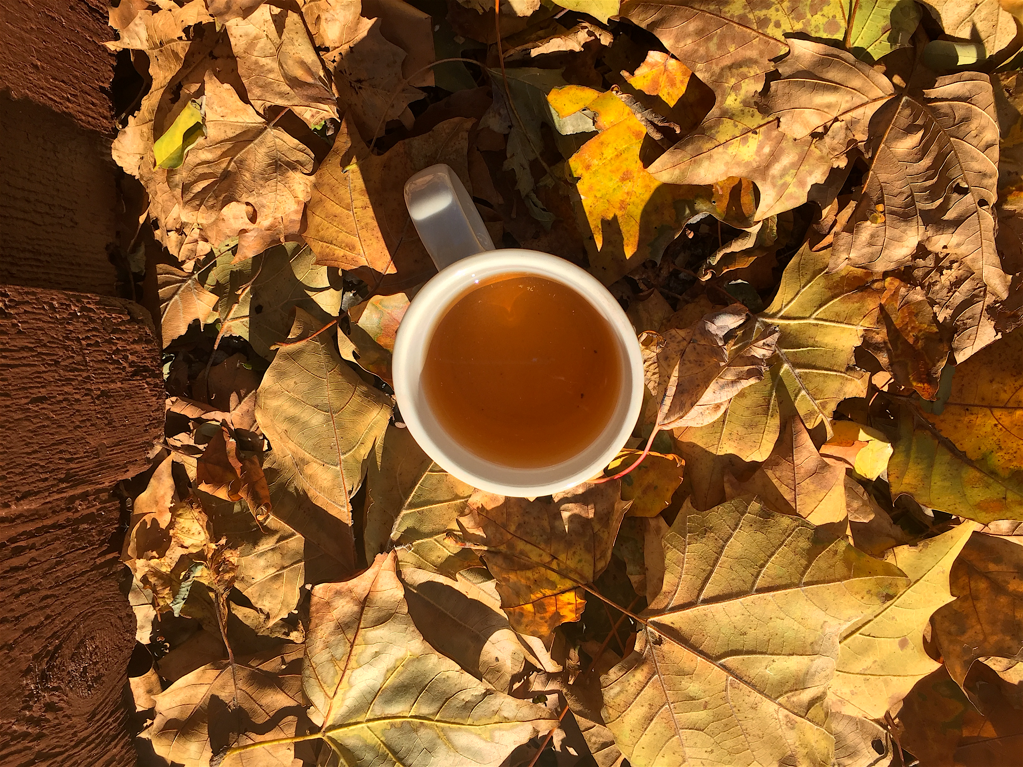 Rest Assured (LODO) ~ liquor by Jocilyn Mors is licensed under a Creative Commons Attribution-ShareAlike 4.0 International License.