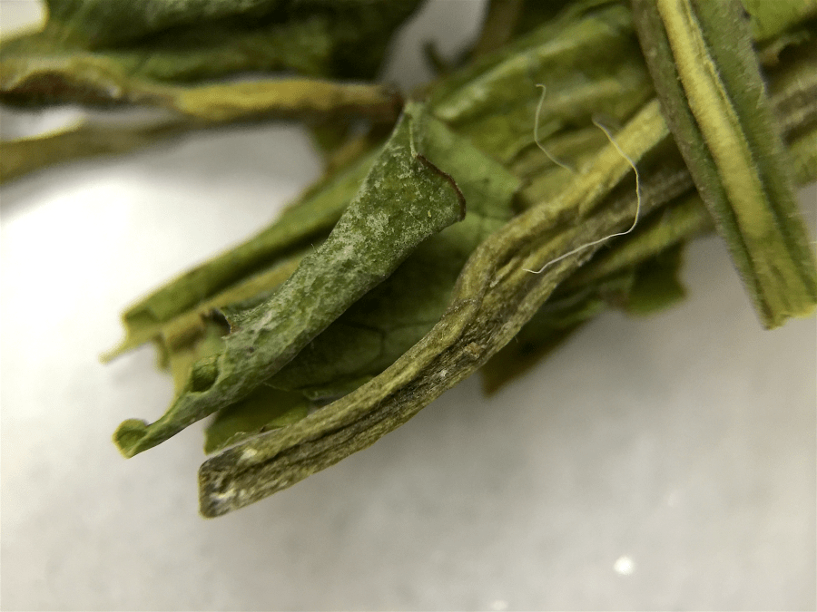 <a rel="license" href="http://creativecommons.org/licenses/by-sa/4.0/"><img alt="Creative Commons License" style="border-width:0" src="https://i.creativecommons.org/l/by-sa/4.0/88x31.png" /></a><br /><span xmlns:dct="http://purl.org/dc/terms/" href="http://purl.org/dc/dcmitype/StillImage" property="dct:title" rel="dct:type">Anji White (Goldfish) ~ loose leaf macro</span> by <a xmlns:cc="http://creativecommons.org/ns#" href="http://parting.gifts" property="cc:attributionName" rel="cc:attributionURL">Jocilyn Mors</a> is licensed under a <a rel="license" href="http://creativecommons.org/licenses/by-sa/4.0/">Creative Commons Attribution-ShareAlike 4.0 International License</a>.