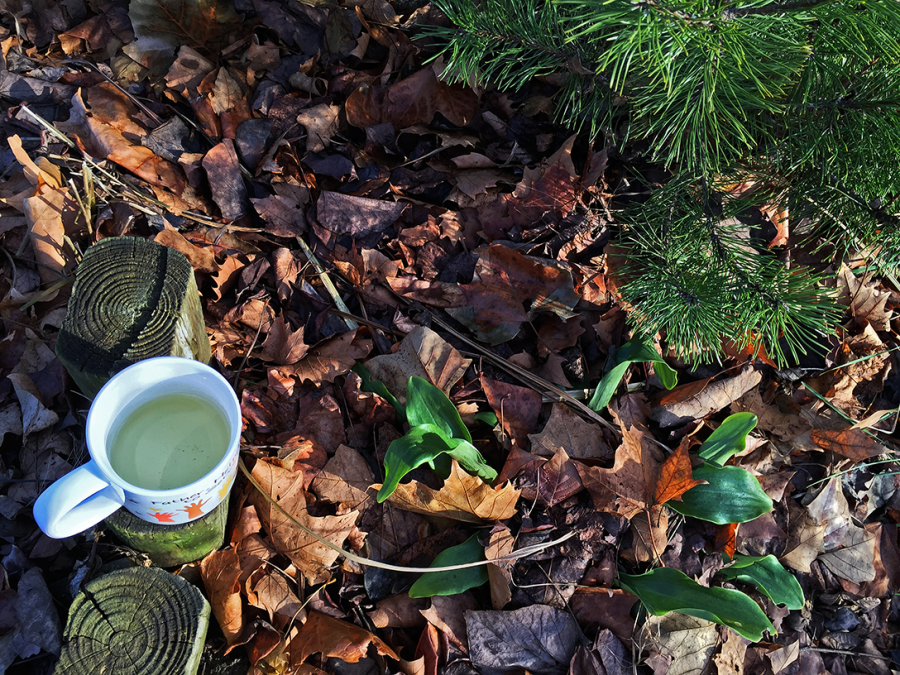 <a rel="license" href="http://creativecommons.org/licenses/by-sa/4.0/"><img alt="Creative Commons License" style="border-width:0" src="https://i.creativecommons.org/l/by-sa/4.0/88x31.png" /></a><br /><span xmlns:dct="http://purl.org/dc/terms/" href="http://purl.org/dc/dcmitype/StillImage" property="dct:title" rel="dct:type">Formosa Jade Oolong (Upton) - liquor</span> by <a xmlns:cc="http://creativecommons.org/ns#" href="http://parting.gifts" property="cc:attributionName" rel="cc:attributionURL">Jocilyn Mors</a> is licensed under a <a rel="license" href="http://creativecommons.org/licenses/by-sa/4.0/">Creative Commons Attribution-ShareAlike 4.0 International License</a>.