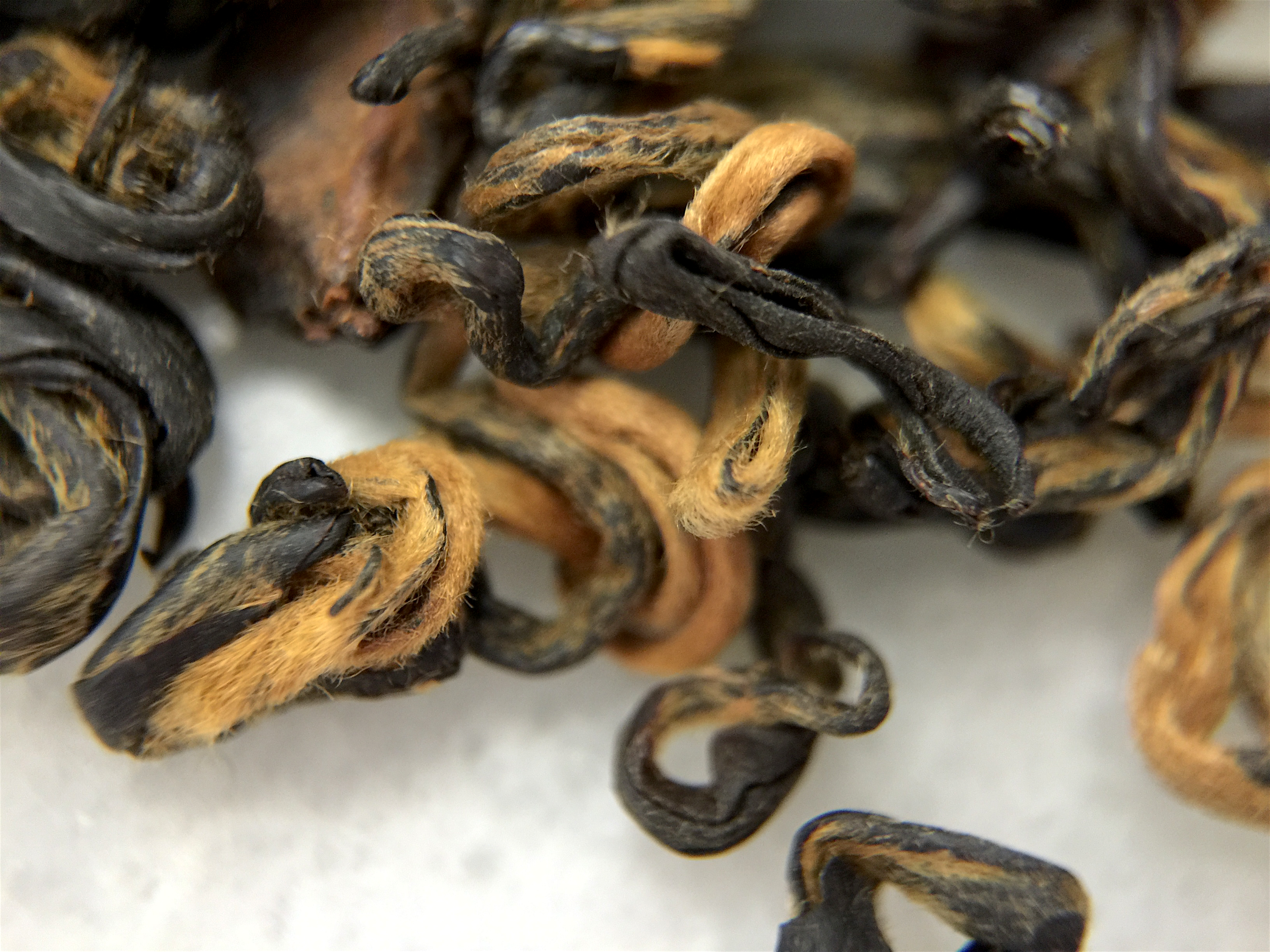 Guangxi Special (TeaSource) ~ loose leaf macro by Jocilyn Mors is licensed under a Creative Commons Attribution-ShareAlike 4.0 International License.