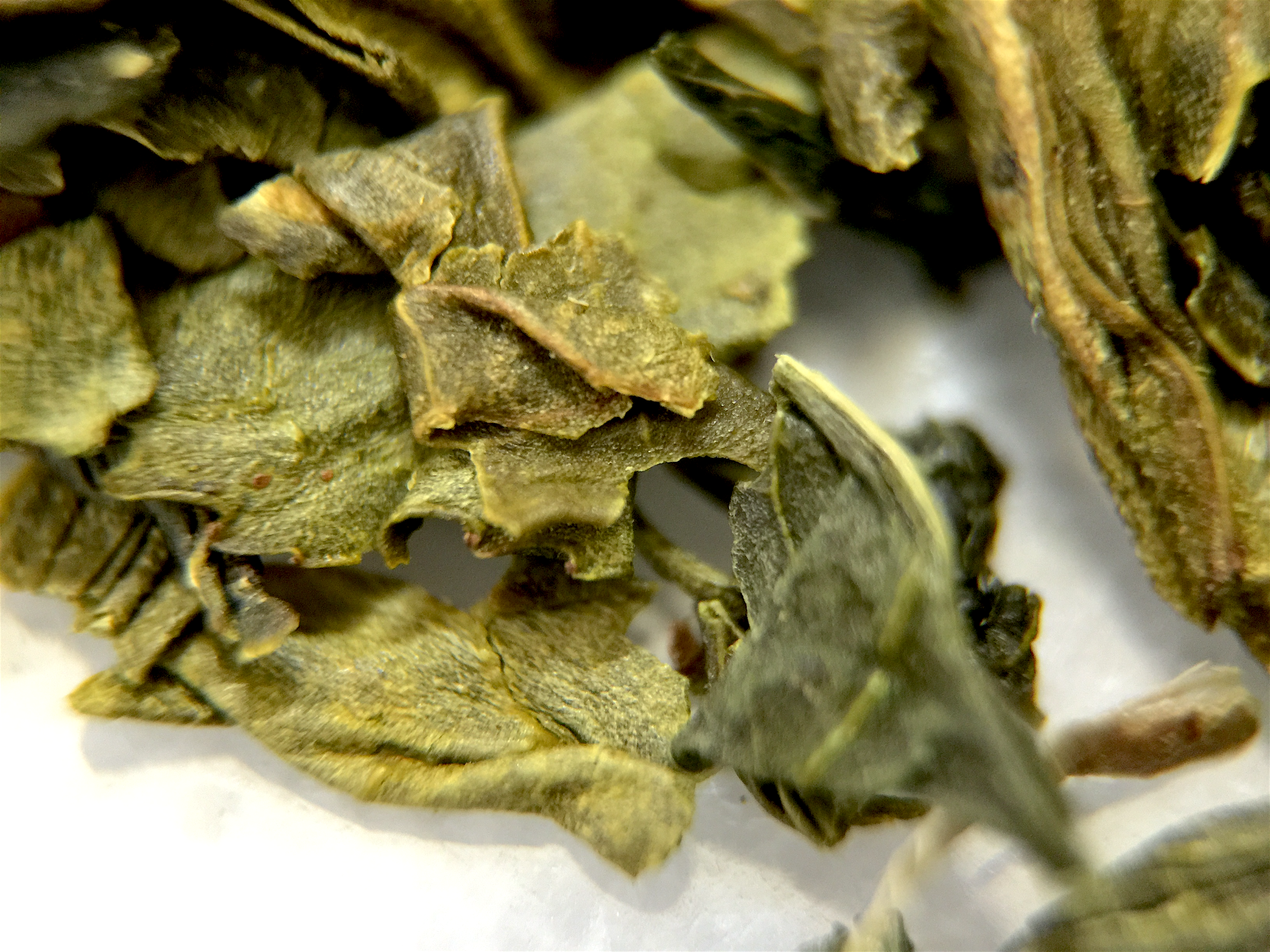 Japan Bancha (TG) ~ loose leaf macro by Jocilyn Mors is licensed under a Creative Commons Attribution-ShareAlike 4.0 International License.