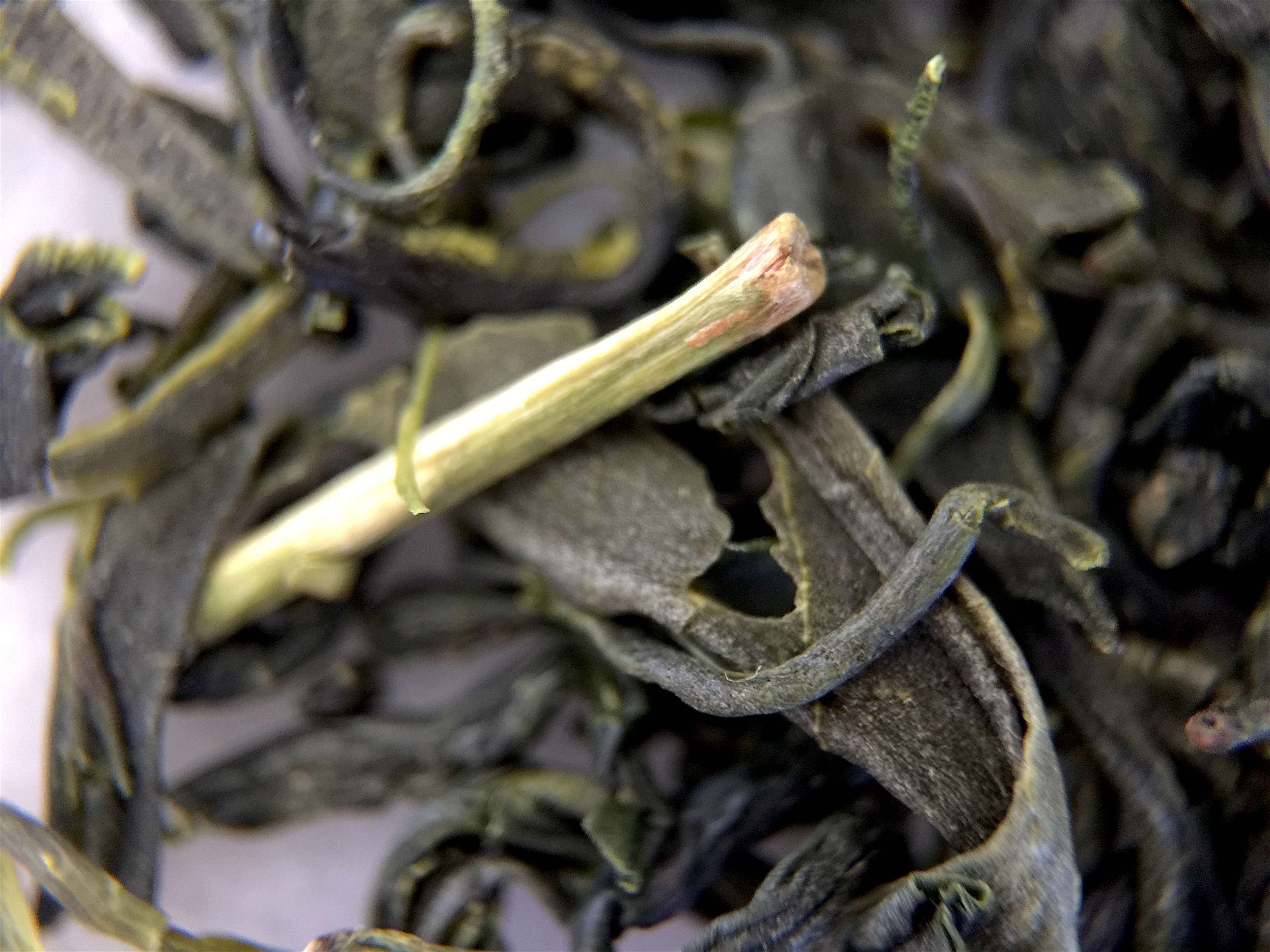 Korea Woojeon (Arbor) ~ loose leaf macro by Jocilyn Mors is licensed under a Creative Commons Attribution-ShareAlike 4.0 International License.