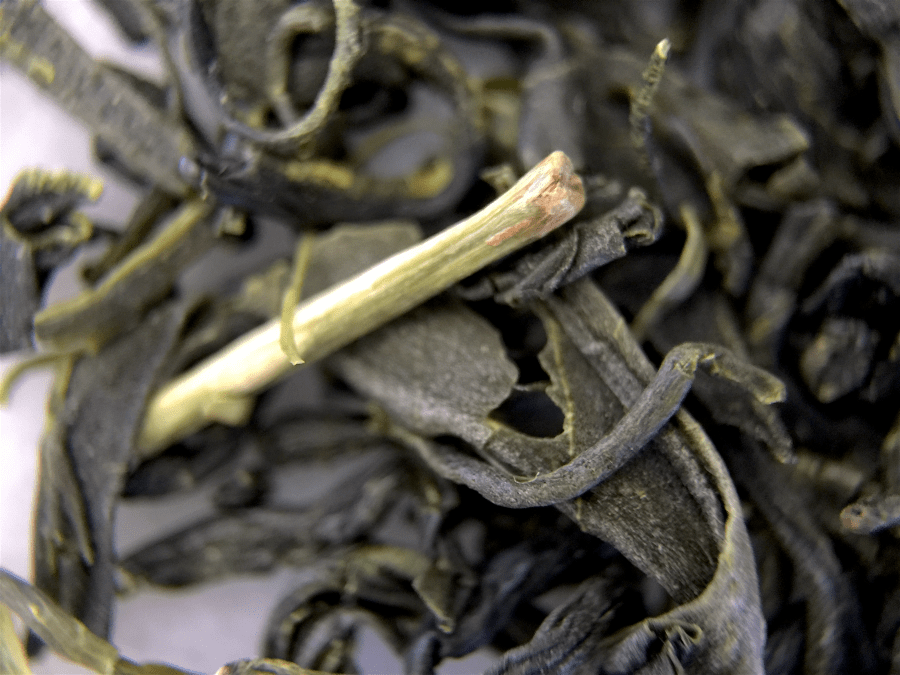 Korea Woojeon (Arbor) ~ loose leaf macro by Jocilyn Mors is licensed under a Creative Commons Attribution-ShareAlike 4.0 International License.