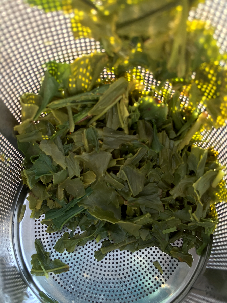 <a rel="license" href="http://creativecommons.org/licenses/by-sa/4.0/"><img alt="Creative Commons License" style="border-width:0" src="https://i.creativecommons.org/l/by-sa/4.0/88x31.png" /></a><br /><span xmlns:dct="http://purl.org/dc/terms/" href="http://purl.org/dc/dcmitype/StillImage" property="dct:title" rel="dct:type">Organic Sencha Superior (Hibiki-An) ~ spent</span> by <a xmlns:cc="http://creativecommons.org/ns#" href="http://parting.gifts" property="cc:attributionName" rel="cc:attributionURL">Jocilyn Mors</a> is licensed under a <a rel="license" href="http://creativecommons.org/licenses/by-sa/4.0/">Creative Commons Attribution-ShareAlike 4.0 International License</a>.