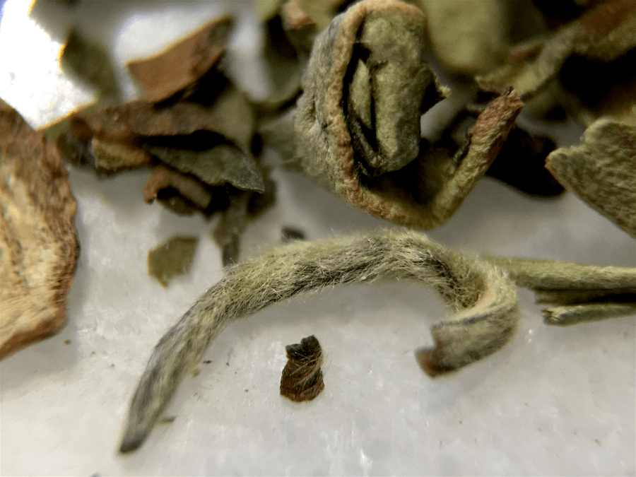 Sakhira Estate 1st Flush (S&V) ~ loose leaf macro B by Jocilyn Mors is licensed under a Creative Commons Attribution-ShareAlike 4.0 International License.