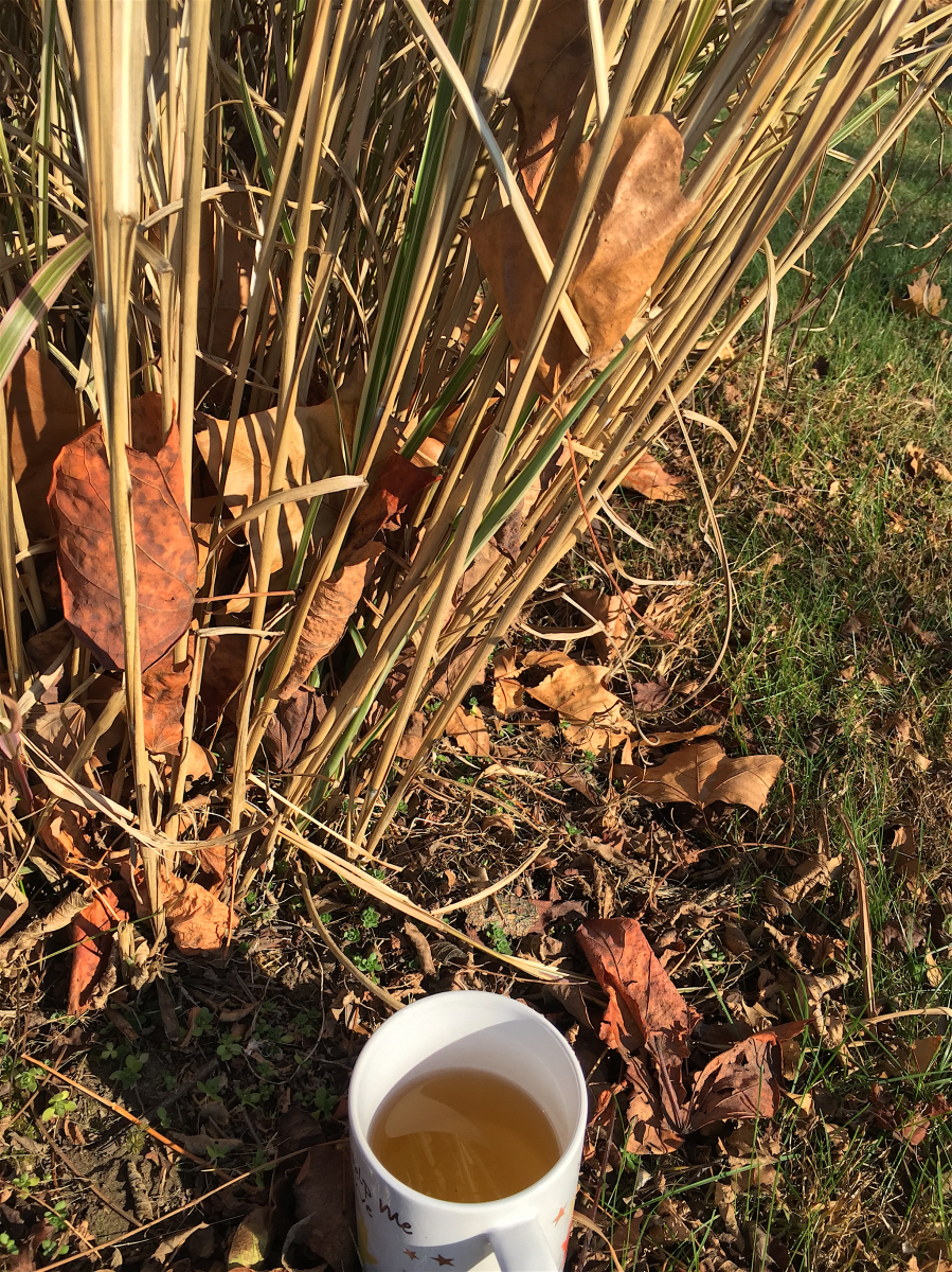 <a rel="license" href="http://creativecommons.org/licenses/by-sa/4.0/"><img alt="Creative Commons License" style="border-width:0" src="https://i.creativecommons.org/l/by-sa/4.0/88x31.png" /></a><br /><span xmlns:dct="http://purl.org/dc/terms/" href="http://purl.org/dc/dcmitype/StillImage" property="dct:title" rel="dct:type">Sakhira Estate 1st Flush (S&V) ~ liquor</span> by <a xmlns:cc="http://creativecommons.org/ns#" href="http://parting.gifts" property="cc:attributionName" rel="cc:attributionURL">Jocilyn Mors</a> is licensed under a <a rel="license" href="http://creativecommons.org/licenses/by-sa/4.0/">Creative Commons Attribution-ShareAlike 4.0 International License</a>.