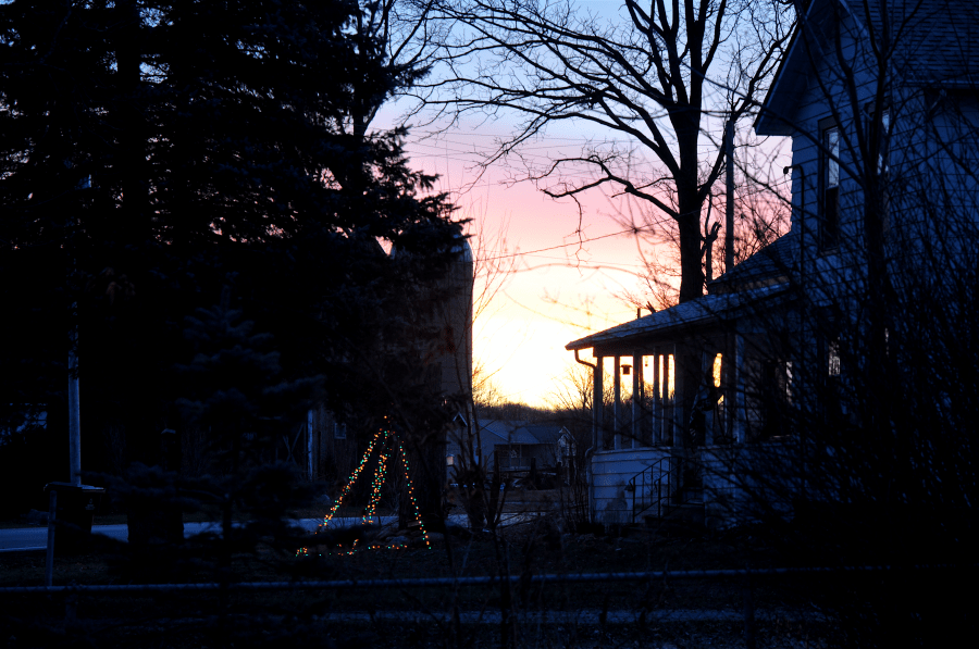 <a rel="license" href="http://creativecommons.org/licenses/by-sa/4.0/"><img alt="Creative Commons License" style="border-width:0" src="https://i.creativecommons.org/l/by-sa/4.0/88x31.png" /></a><br /><span xmlns:dct="http://purl.org/dc/terms/" href="http://purl.org/dc/dcmitype/StillImage" property="dct:title" rel="dct:type">Silk Dragon Jasmine (DavidsTea) ~ radiant</span> by <a xmlns:cc="http://creativecommons.org/ns#" href="http://parting.gifts" property="cc:attributionName" rel="cc:attributionURL">Jocilyn Mors</a> is licensed under a <a rel="license" href="http://creativecommons.org/licenses/by-sa/4.0/">Creative Commons Attribution-ShareAlike 4.0 International License</a>.