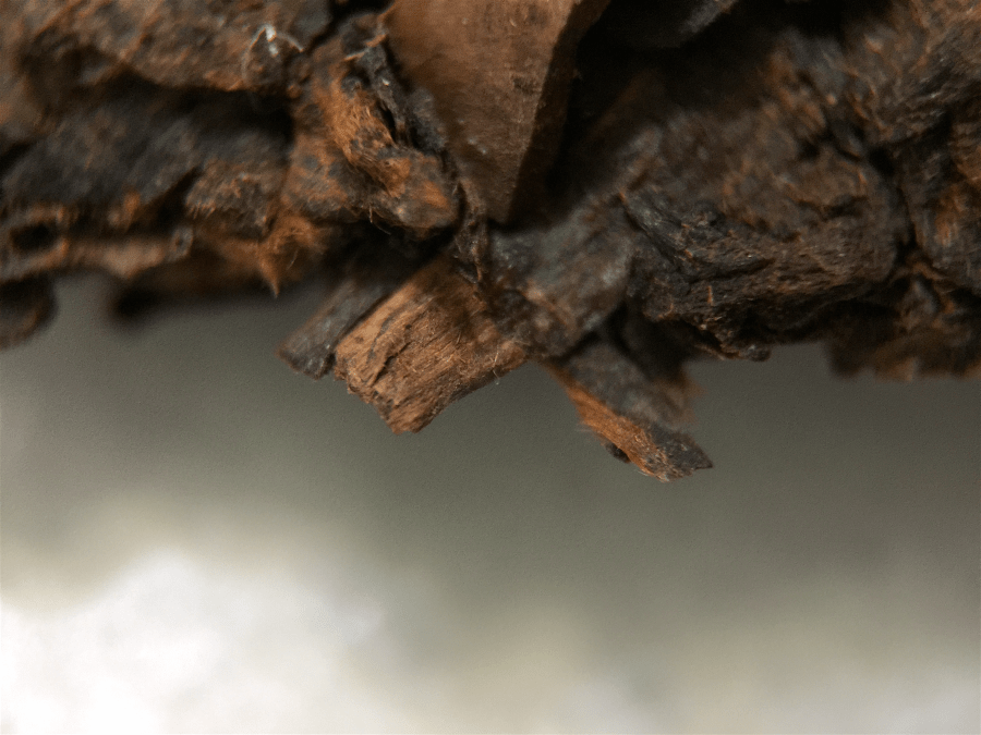 <a rel="license" href="http://creativecommons.org/licenses/by-sa/4.0/"><img alt="Creative Commons License" style="border-width:0" src="https://i.creativecommons.org/l/by-sa/4.0/88x31.png" /></a><br /><span xmlns:dct="http://purl.org/dc/terms/" href="http://purl.org/dc/dcmitype/StillImage" property="dct:title" rel="dct:type">Golden Sail 2003 (Goldfish) ~ cake macro 21x</span> by <a xmlns:cc="http://creativecommons.org/ns#" href="http://parting.gifts" property="cc:attributionName" rel="cc:attributionURL">Jocilyn Mors</a> is licensed under a <a rel="license" href="http://creativecommons.org/licenses/by-sa/4.0/">Creative Commons Attribution-ShareAlike 4.0 International License</a>.