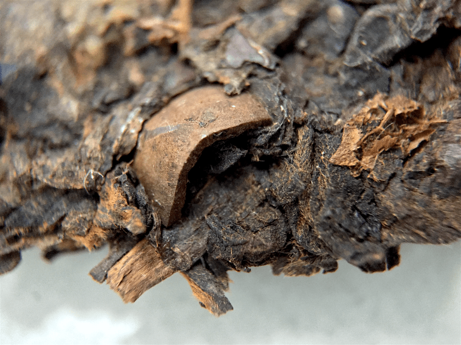 <a rel="license" href="http://creativecommons.org/licenses/by-sa/4.0/"><img alt="Creative Commons License" style="border-width:0" src="https://i.creativecommons.org/l/by-sa/4.0/88x31.png" /></a><br /><span xmlns:dct="http://purl.org/dc/terms/" href="http://purl.org/dc/dcmitype/StillImage" property="dct:title" rel="dct:type">Golden Sail 2003 (Goldfish) ~ cake macro 14x</span> by <a xmlns:cc="http://creativecommons.org/ns#" href="http://parting.gifts" property="cc:attributionName" rel="cc:attributionURL">Jocilyn Mors</a> is licensed under a <a rel="license" href="http://creativecommons.org/licenses/by-sa/4.0/">Creative Commons Attribution-ShareAlike 4.0 International License</a>.