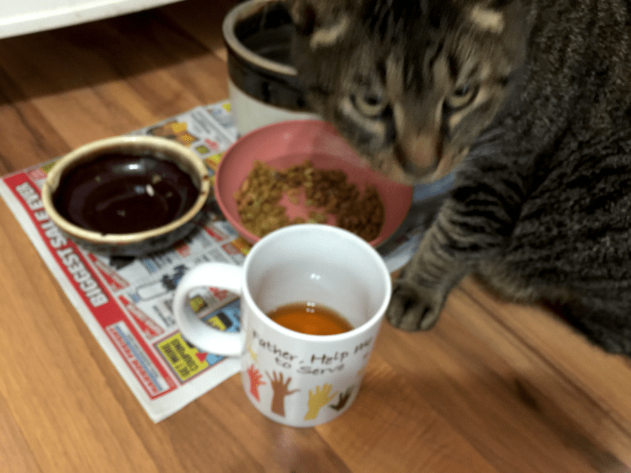 <a rel="license" href="http://creativecommons.org/licenses/by-sa/4.0/"><img alt="Creative Commons License" style="border-width:0" src="https://i.creativecommons.org/l/by-sa/4.0/88x31.png" /></a><br /><span xmlns:dct="http://purl.org/dc/terms/" href="http://purl.org/dc/dcmitype/StillImage" property="dct:title" rel="dct:type">Golden Sail 2003 (Goldfish) ~ ikillyou!</span> by <a xmlns:cc="http://creativecommons.org/ns#" href="http://parting.gifts" property="cc:attributionName" rel="cc:attributionURL">Jocilyn Mors</a> is licensed under a <a rel="license" href="http://creativecommons.org/licenses/by-sa/4.0/">Creative Commons Attribution-ShareAlike 4.0 International License</a>.