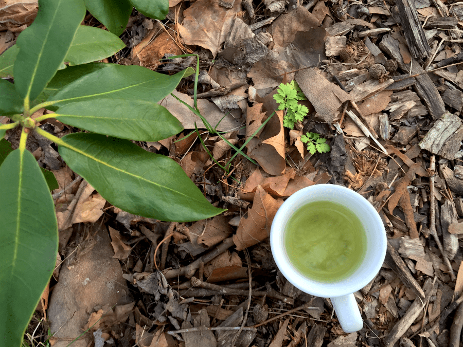 <a rel="license" href="http://creativecommons.org/licenses/by-sa/4.0/"><img alt="Creative Commons License" style="border-width:0" src="https://i.creativecommons.org/l/by-sa/4.0/88x31.png" /></a><br /><span xmlns:dct="http://purl.org/dc/terms/" href="http://purl.org/dc/dcmitype/StillImage" property="dct:title" rel="dct:type">Gyokuro (Nishida Haruka Zono) ~ liquor</span> by <a xmlns:cc="http://creativecommons.org/ns#" href="http://parting.gifts" property="cc:attributionName" rel="cc:attributionURL">Jocilyn Mors</a> is licensed under a <a rel="license" href="http://creativecommons.org/licenses/by-sa/4.0/">Creative Commons Attribution-ShareAlike 4.0 International License</a>.