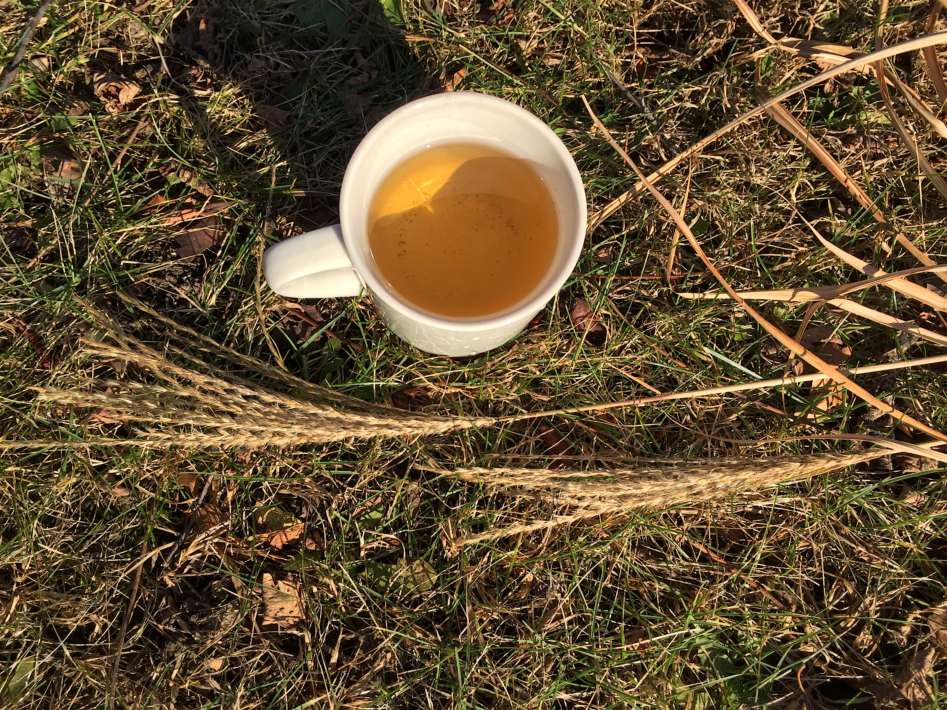 Sweet Dreams (LODO) ~ liquor by Jocilyn Mors is licensed under a Creative Commons Attribution-ShareAlike 4.0 International License.