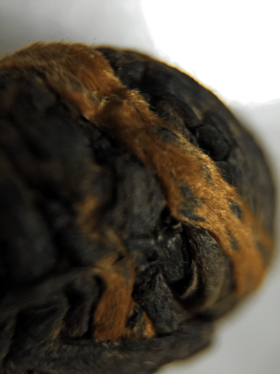 <a rel="license" href="http://creativecommons.org/licenses/by-sa/4.0/"><img alt="Creative Commons License" style="border-width:0" src="https://i.creativecommons.org/l/by-sa/4.0/88x31.png" /></a><br /><span xmlns:dct="http://purl.org/dc/terms/" href="http://purl.org/dc/dcmitype/StillImage" property="dct:title" rel="dct:type">Black Dragon Pearls (ChocolaTea) ~ loose leaf macro21</span> by <a xmlns:cc="http://creativecommons.org/ns#" href="http://parting.gifts" property="cc:attributionName" rel="cc:attributionURL">Jocilyn Mors</a> is licensed under a <a rel="license" href="http://creativecommons.org/licenses/by-sa/4.0/">Creative Commons Attribution-ShareAlike 4.0 International License</a>.