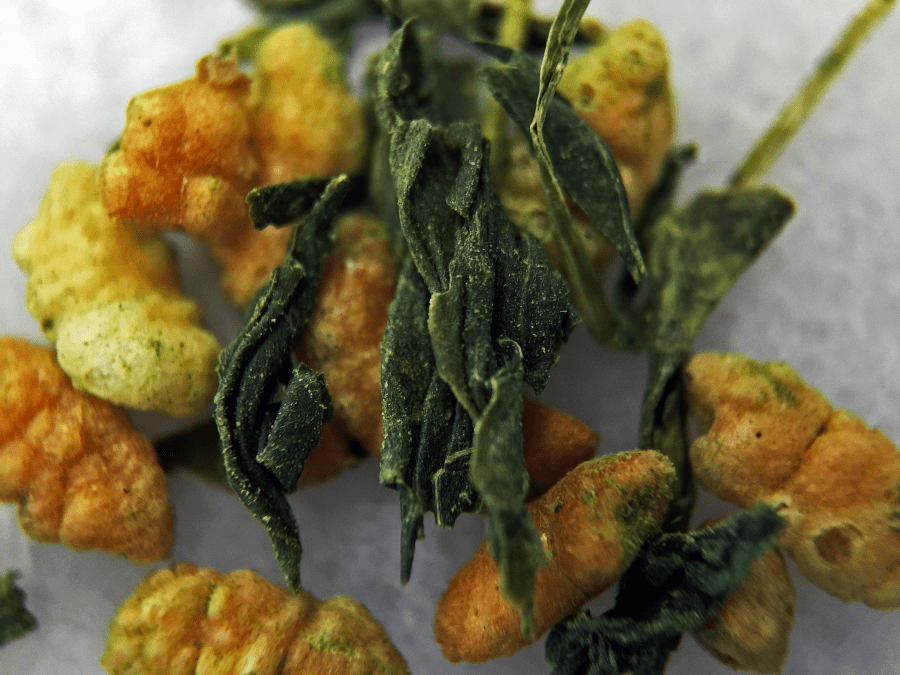 <a rel="license" href="http://creativecommons.org/licenses/by-sa/4.0/"><img alt="Creative Commons License" style="border-width:0" src="https://i.creativecommons.org/l/by-sa/4.0/88x31.png" /></a><br /><span xmlns:dct="http://purl.org/dc/terms/" href="http://purl.org/dc/dcmitype/StillImage" property="dct:title" rel="dct:type">Organic Matcha-iri Genmaicha (Hibiki-an) ~ loose leaf macro 14X</span> by <a xmlns:cc="http://creativecommons.org/ns#" href="http://parting.gifts" property="cc:attributionName" rel="cc:attributionURL">Jocilyn Mors</a> is licensed under a <a rel="license" href="http://creativecommons.org/licenses/by-sa/4.0/">Creative Commons Attribution-ShareAlike 4.0 International License</a>.