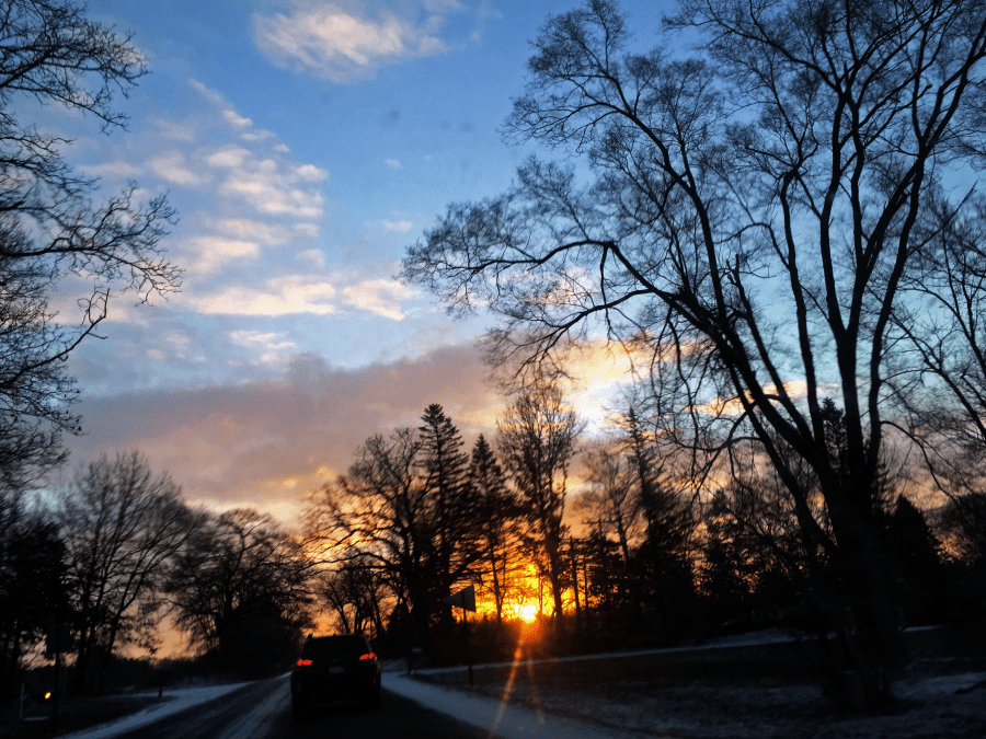 <a rel="license" href="http://creativecommons.org/licenses/by-sa/4.0/"><img alt="Creative Commons License" style="border-width:0" src="https://i.creativecommons.org/l/by-sa/4.0/88x31.png" /></a><br /><span xmlns:dct="http://purl.org/dc/terms/" href="http://purl.org/dc/dcmitype/StillImage" property="dct:title" rel="dct:type">Organic Matcha-iri Genmaicha (Hibiki-an) ~ miyazaki</span> by <a xmlns:cc="http://creativecommons.org/ns#" href="http://parting.gifts" property="cc:attributionName" rel="cc:attributionURL">Jocilyn Mors</a> is licensed under a <a rel="license" href="http://creativecommons.org/licenses/by-sa/4.0/">Creative Commons Attribution-ShareAlike 4.0 International License</a>.