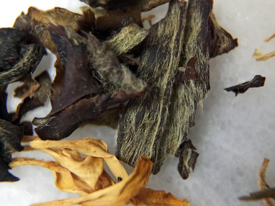 <a rel="license" href="http://creativecommons.org/licenses/by-sa/4.0/"><img alt="Creative Commons License" style="border-width:0" src="https://i.creativecommons.org/l/by-sa/4.0/88x31.png" /></a><br /><span xmlns:dct="http://purl.org/dc/terms/" href="http://purl.org/dc/dcmitype/StillImage" property="dct:title" rel="dct:type">Peachy Keen White (TranquiliTea) ~ loose leaf macro</span> by <a xmlns:cc="http://creativecommons.org/ns#" href="http://parting.gifts" property="cc:attributionName" rel="cc:attributionURL">Jocilyn Mors</a> is licensed under a <a rel="license" href="http://creativecommons.org/licenses/by-sa/4.0/">Creative Commons Attribution-ShareAlike 4.0 International License</a>.